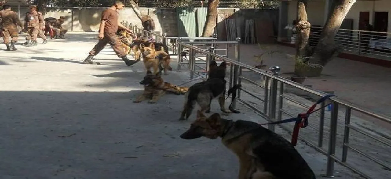 'Robo-nose' could soon give sniffer dogs a rest