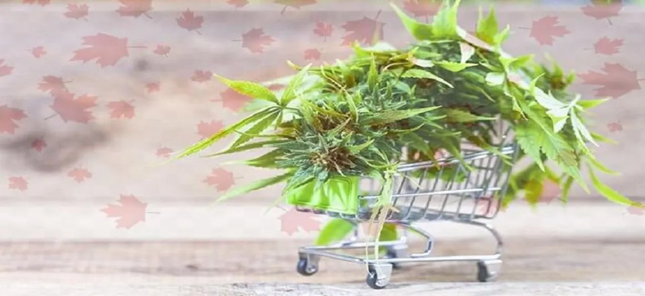 Cannabis: The new raved-about skin care ingredient? 
