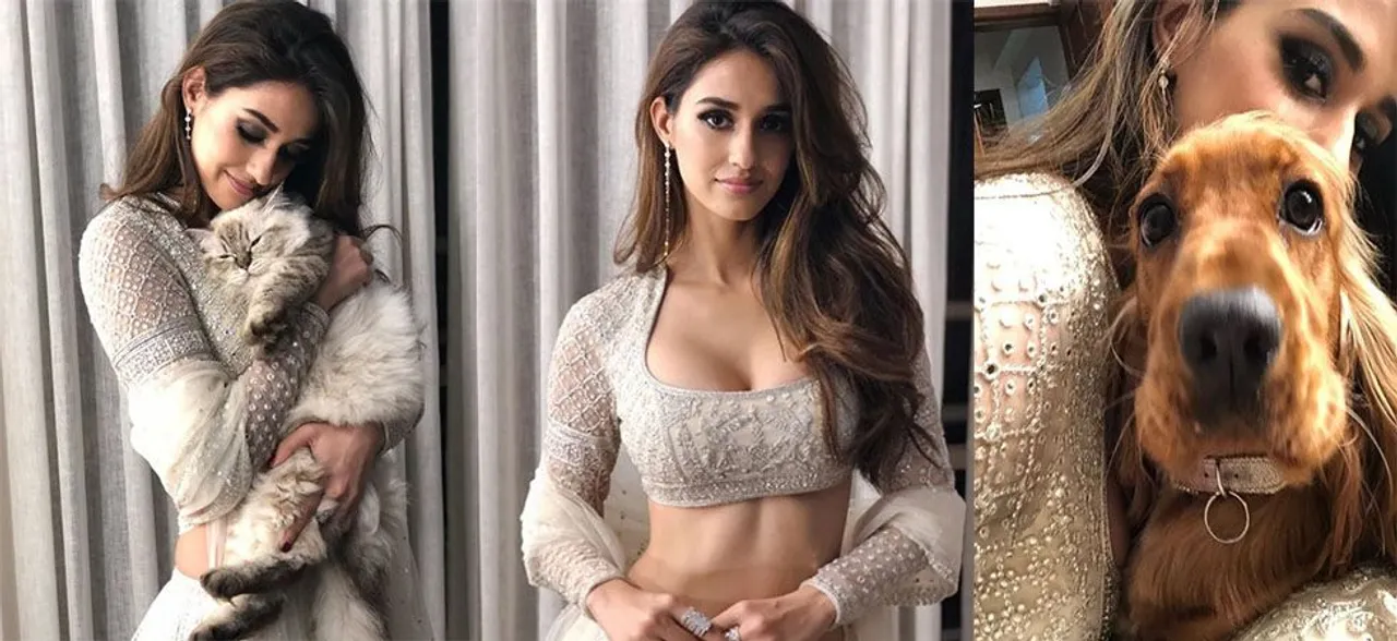 Disha Patani treats â€˜Bellaâ€™ to a vanity experience