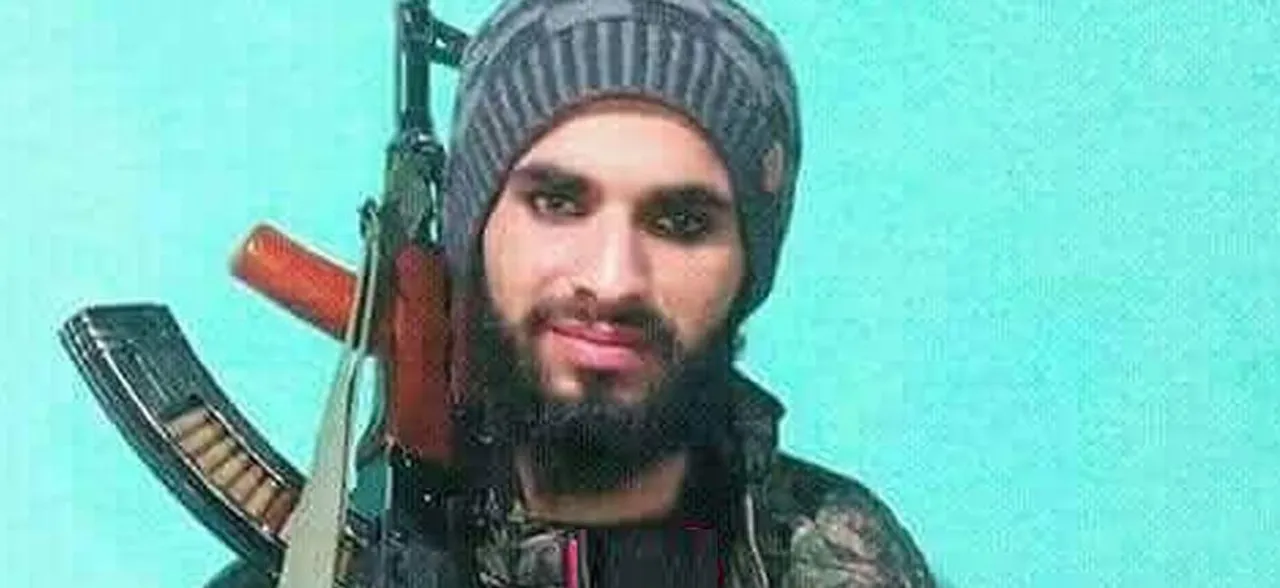 Jammu and Kashmir: Three terrorists killed in Pulwama encounter 