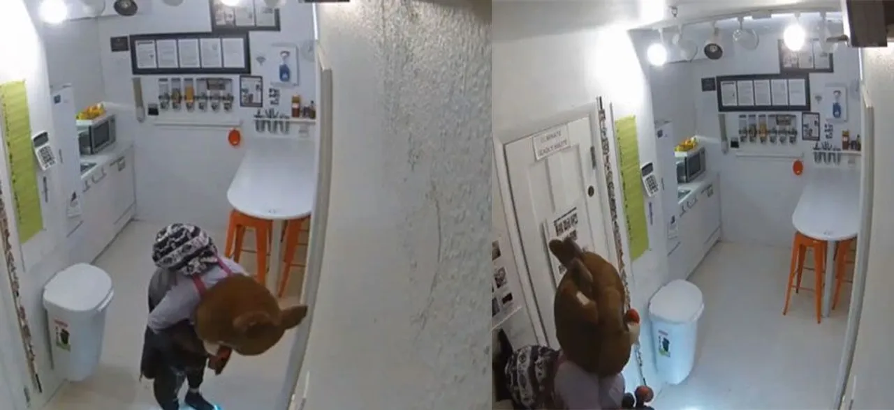 Woman dons Rudolph the red-nosed reindeer costume during theft and Fort Police needs our help!