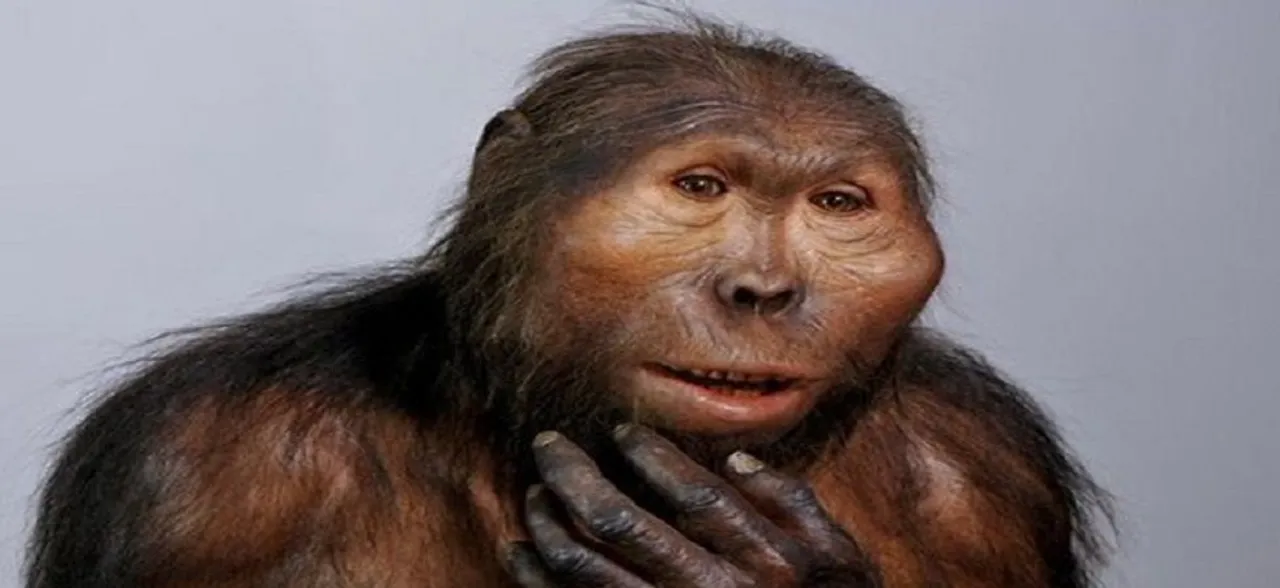 Science has found the ancient hominid that gave us Herpes