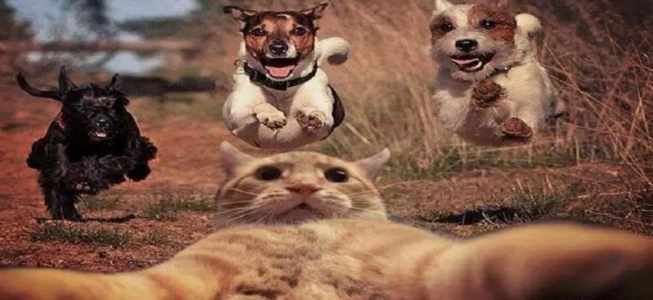 Addicted to selfies? Psychologists say it is a genuine mental disorder