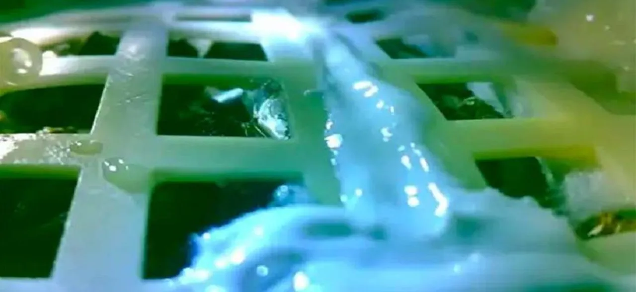 Chinese seed sprouts on Moon, becomes first botanical matter to grow there