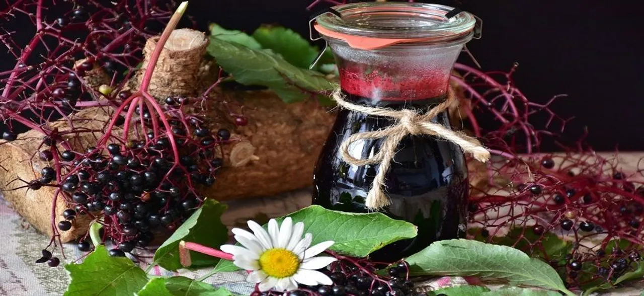 Scientists verify that this plant beats flu, prevents cold and strengthens immunity
