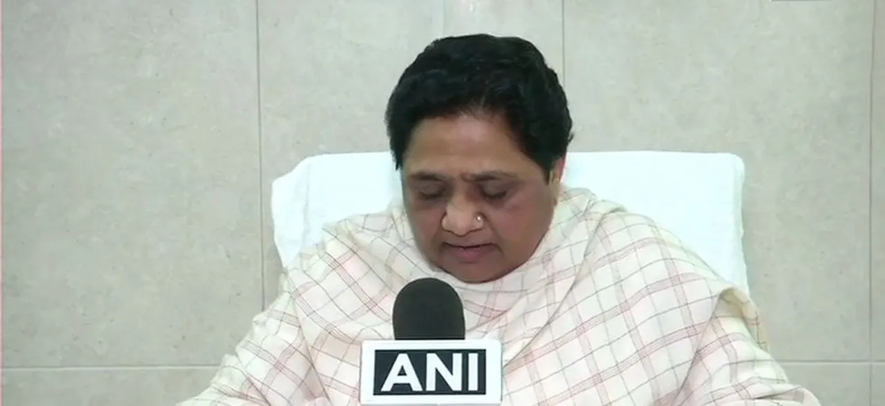 Will make my nephew Akash Anand join BSP movement, announces Mayawati