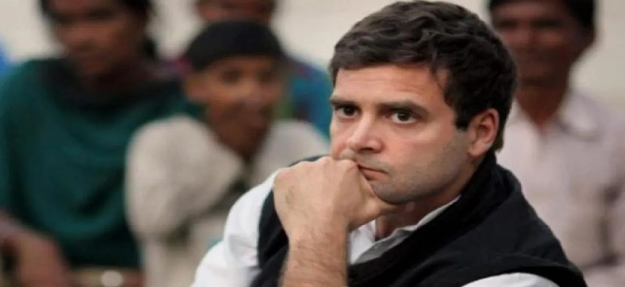 Farmers stage protest against Rahul Gandhi in Amethi, say Congress chief should go back to Italy
