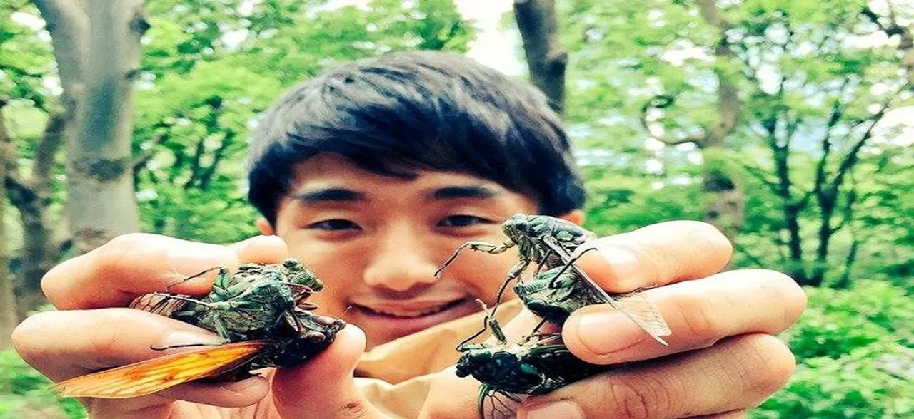 Love knows no limit? Japanese man dates cockroach for a year, claims â€˜itâ€™ is his first love