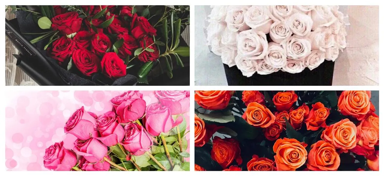 Happy Rose Day 2019: Your Valentineâ€™s rose colour holds significant meaning, find out what different colours signify