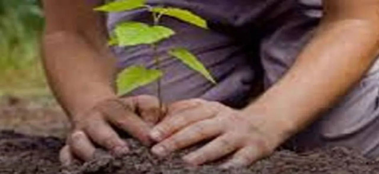 India, China leading global greening effort: NASA study