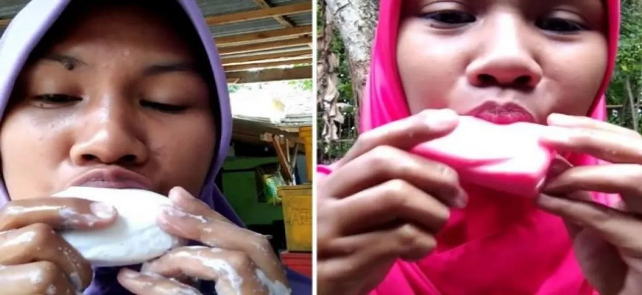 WATCH | Testing soap by tasting it: Indonesian woman's quirky DIY video goes viral 