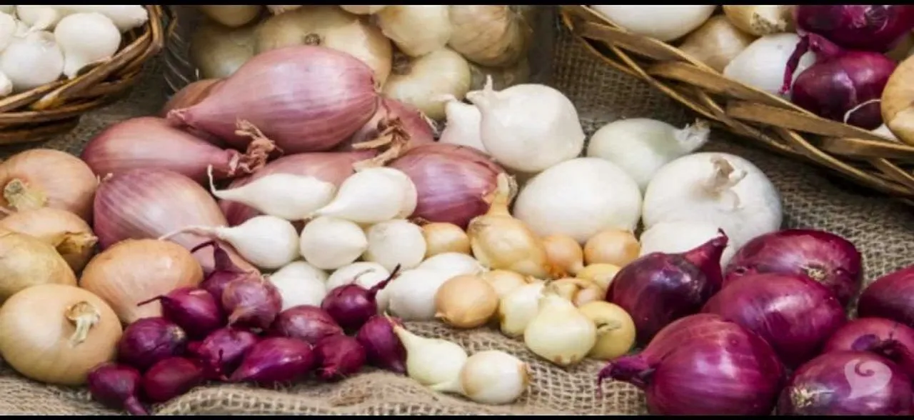 Consuming garlic, onions may lower colorectal cancer risk: Study