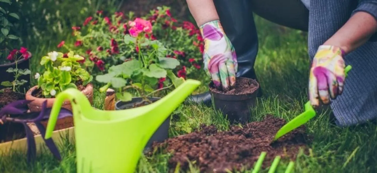 Singing, gardening in middle age may lower dementia risk, says study