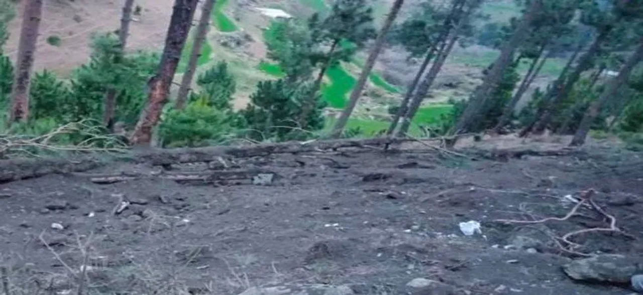 Pakistan blames India for damaging pine trees, plans to move UN accusing it of â€˜eco-terrorismâ€™