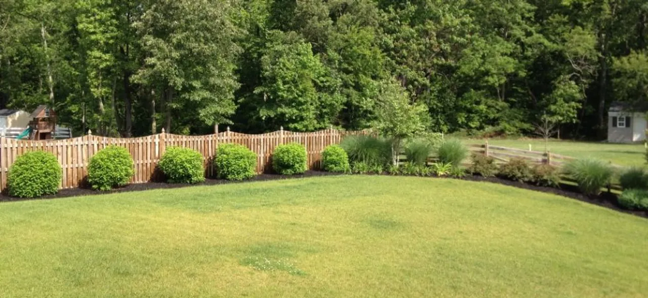 Green spaces may increase happiness, help you trust strangers: Study