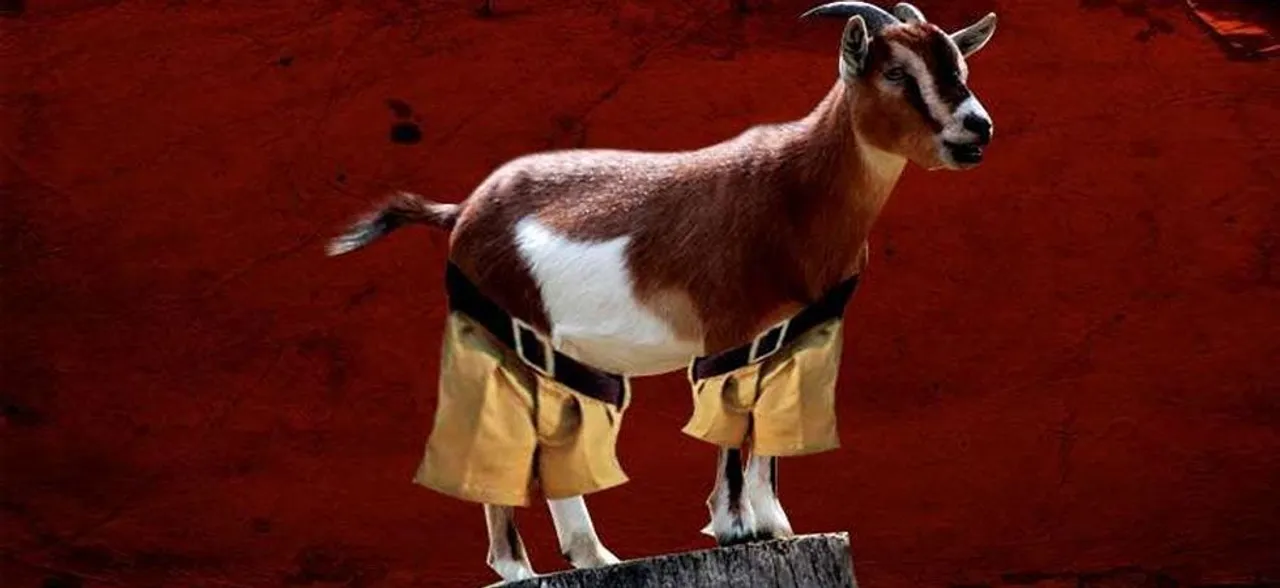 You've got to be kidding! US town elects goat as 'mayor'