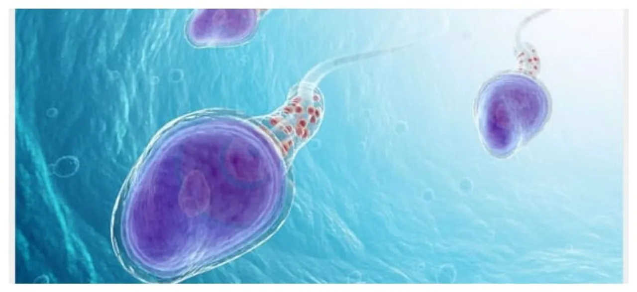Worldâ€™s oldest semen frozen for 50 years still functional, used to impregnate sheep