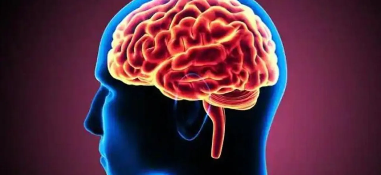 Brain responds more quickly to angry voices: Study