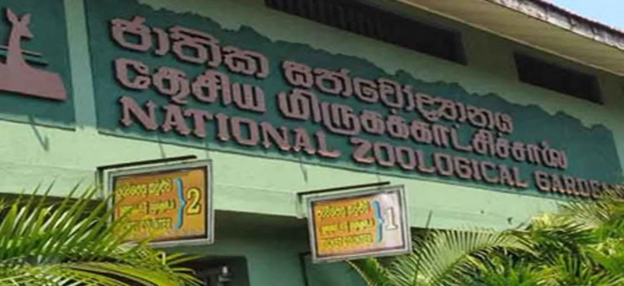 2 dead in fresh blast at hotel near Zoo in Sri Lankaâ€™s Dehiwela