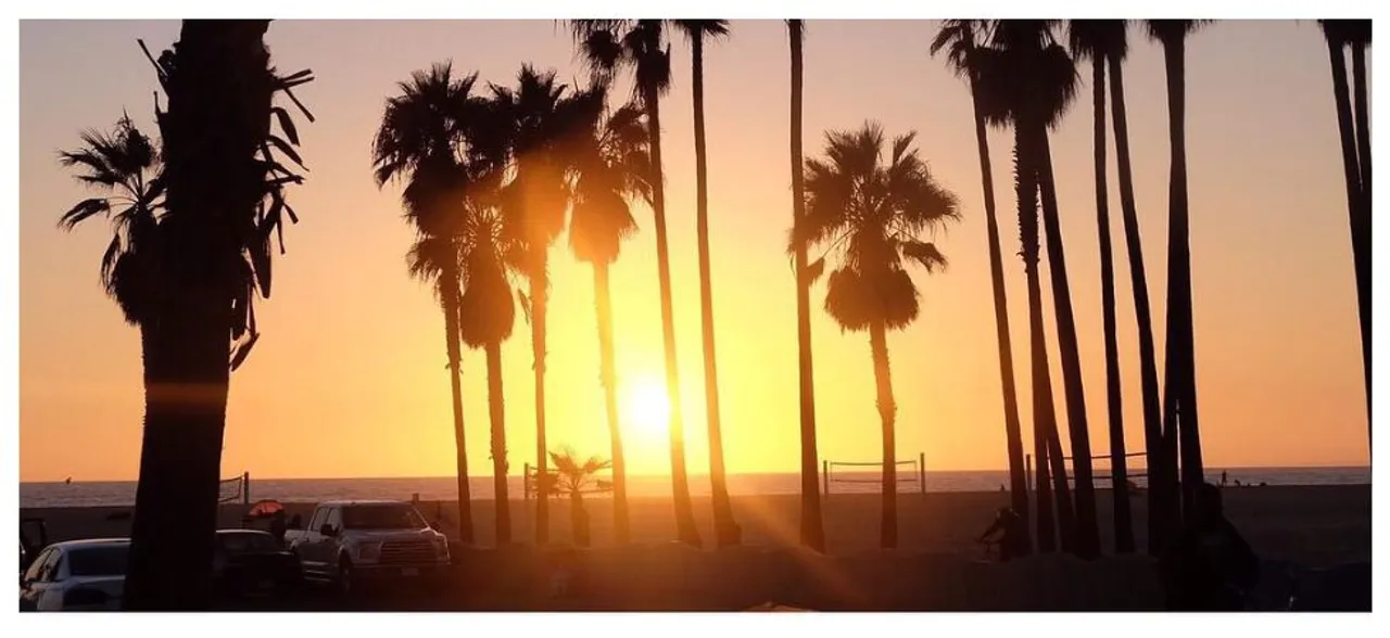 Coachella Film festival 2019: Unprotected intercourse linked to spike in Herpes cases