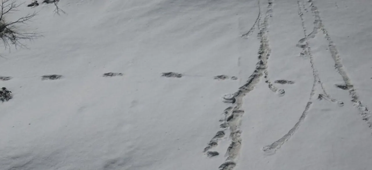 Achhe din more elusive: Akhilesh Yadav's dig at Modi over Army's yeti spotting claim