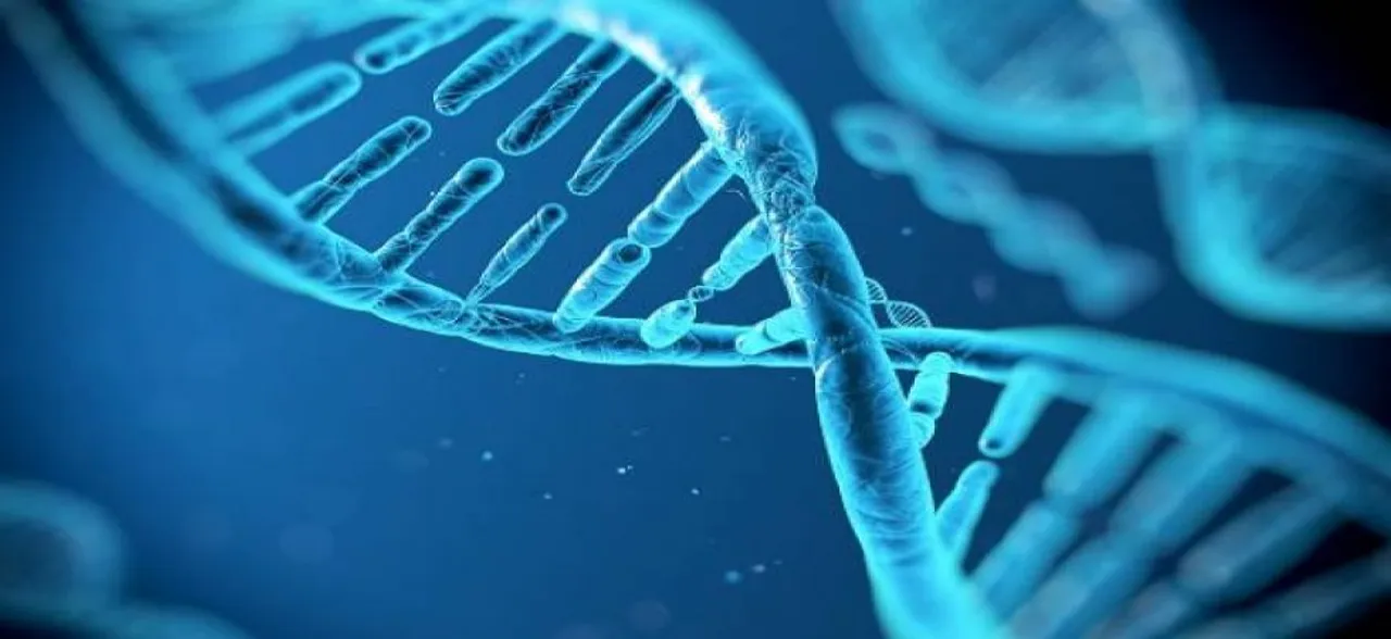Embryo stem cells created from skin cells, says study