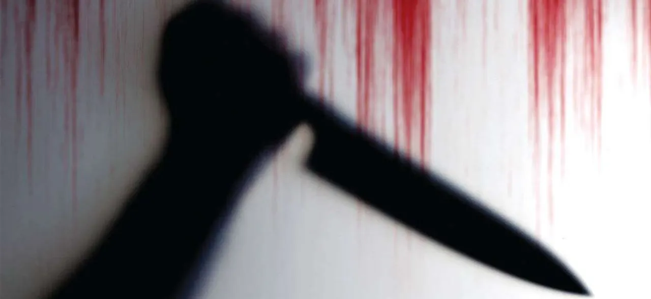 â€˜Over possessiveâ€™ flatmate slits throat of Delhi woman doctor, held while trying to commit suicide 
