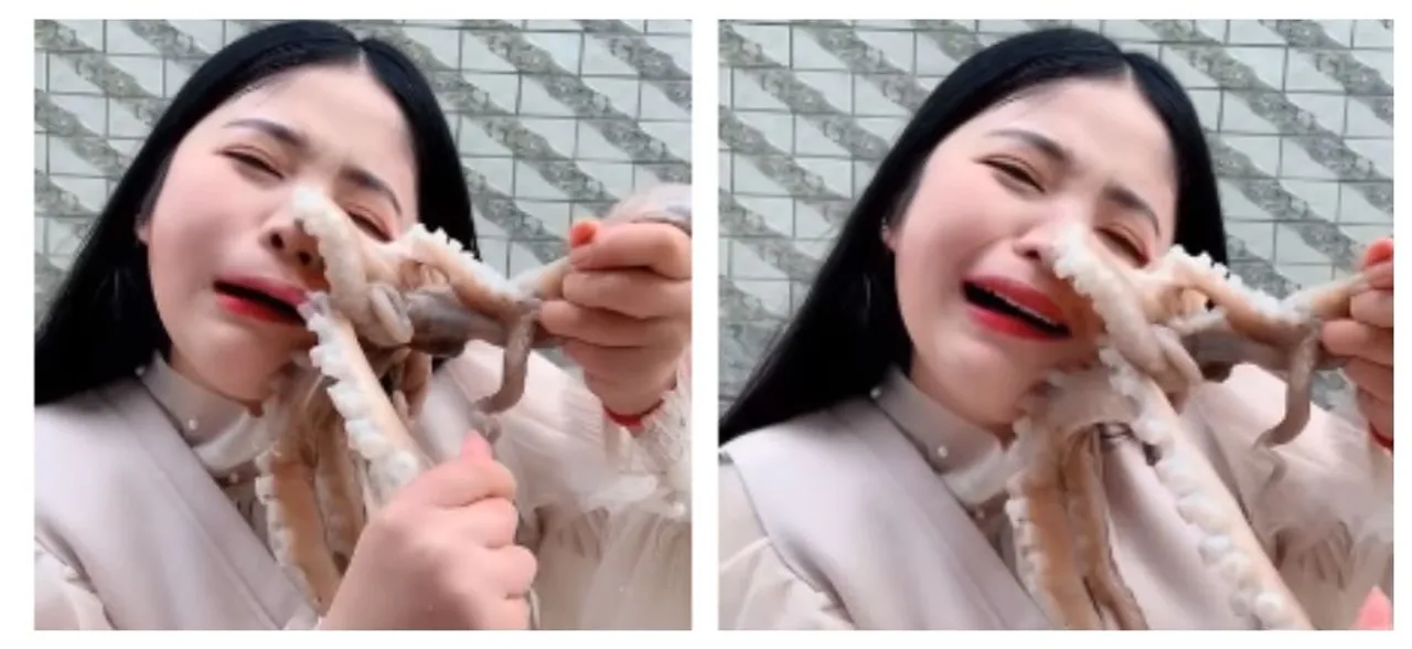 WATCH | Octopus attacks woman who tried to eat it alive