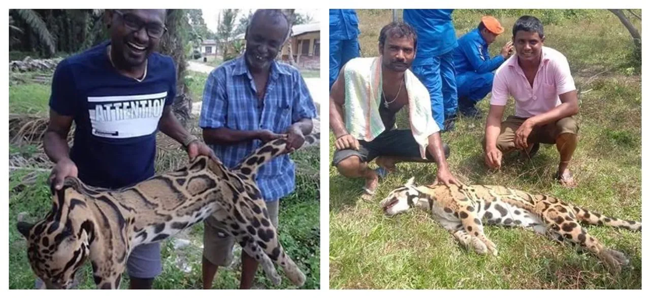 Heartless poachers photographed laughing and smiling with dead body of rare clouded leopard