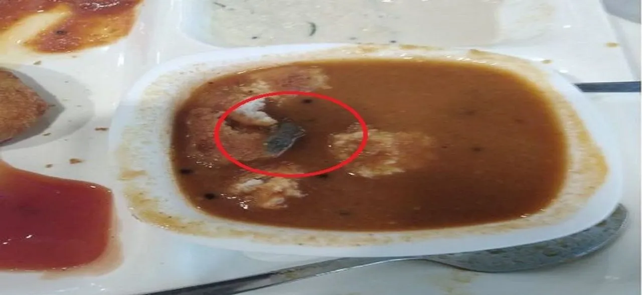 'Dead lizard' found in food at Haldiram's in Nagpur, FDA cracks whip