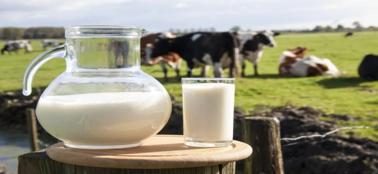 World Milk Day 2019: Significance and importance of celebration 