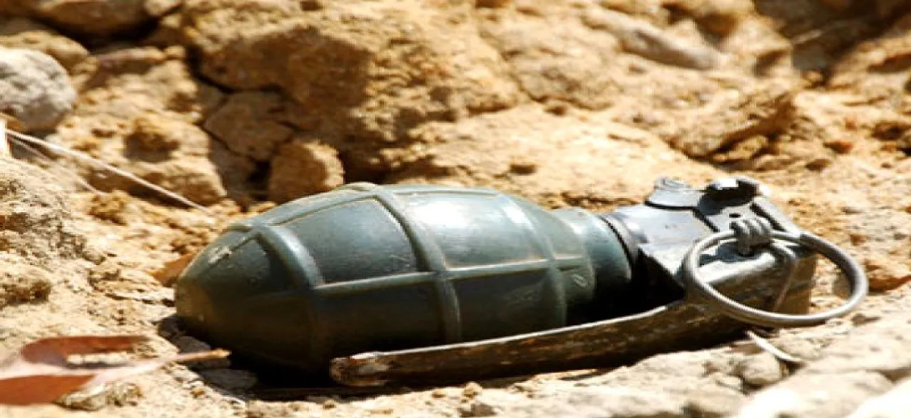 Terrorists hurl grenade on residence of NC leader Ghulam Mohi Ud din Mir in Pulwama: Reports