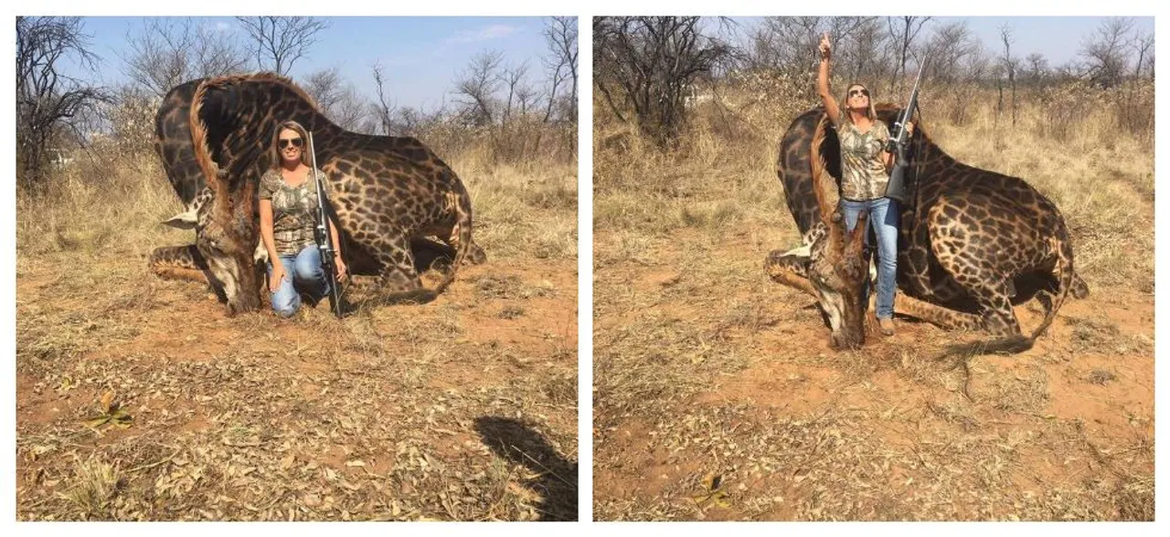 â€˜He was deliciousâ€™, hunter who posted with rare giraffe has no regrets, says she's 'absolutely' still hunting