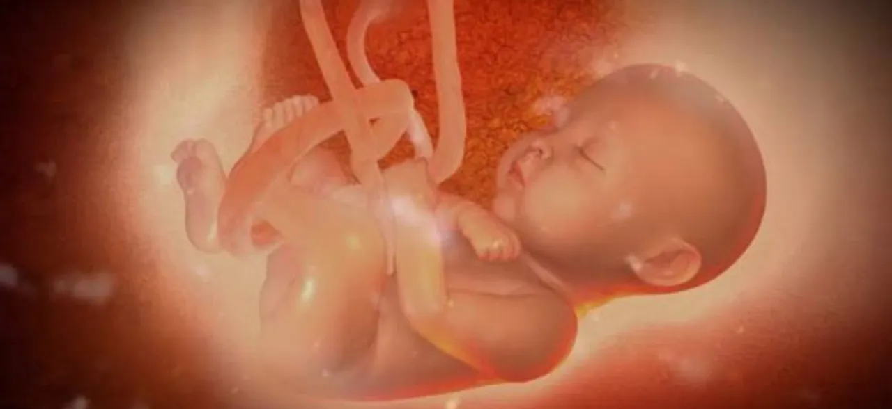 Shocker! Hidden in watermelon skin, female foetus found in Noida drain
