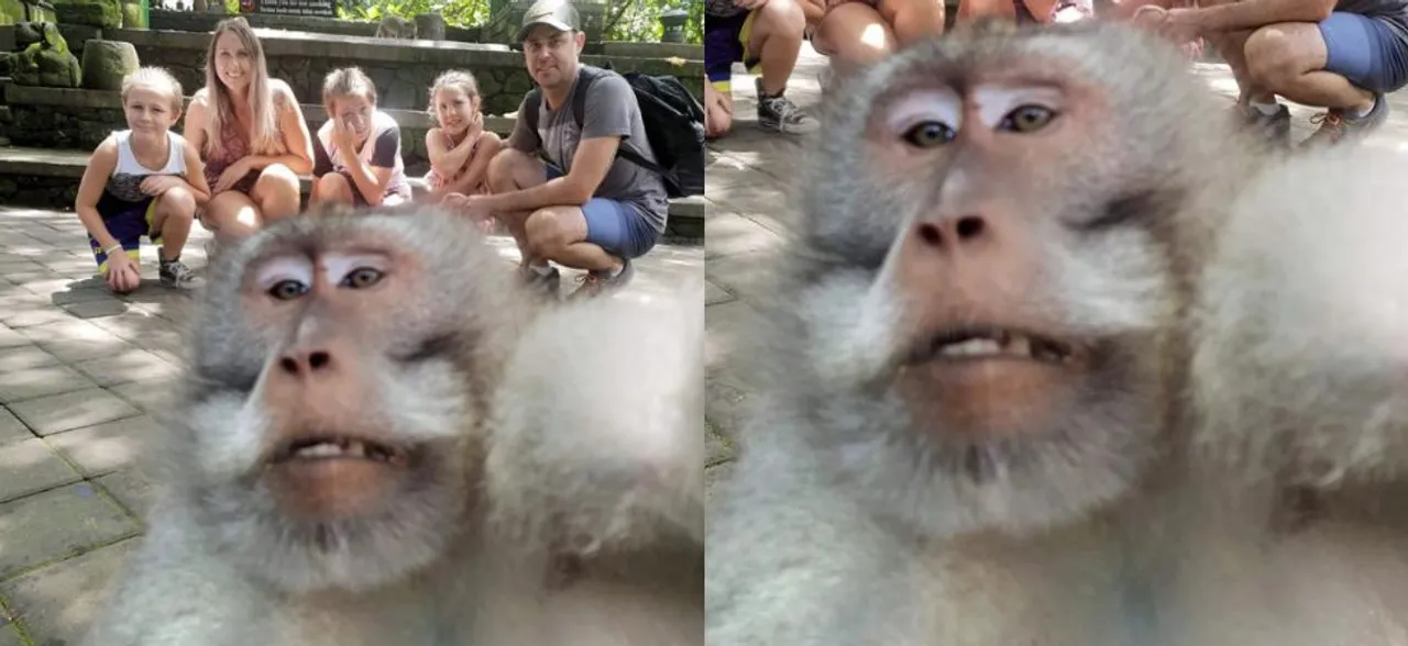 This monkey just photobombed a family picture and it will surely make you go ROFL! 