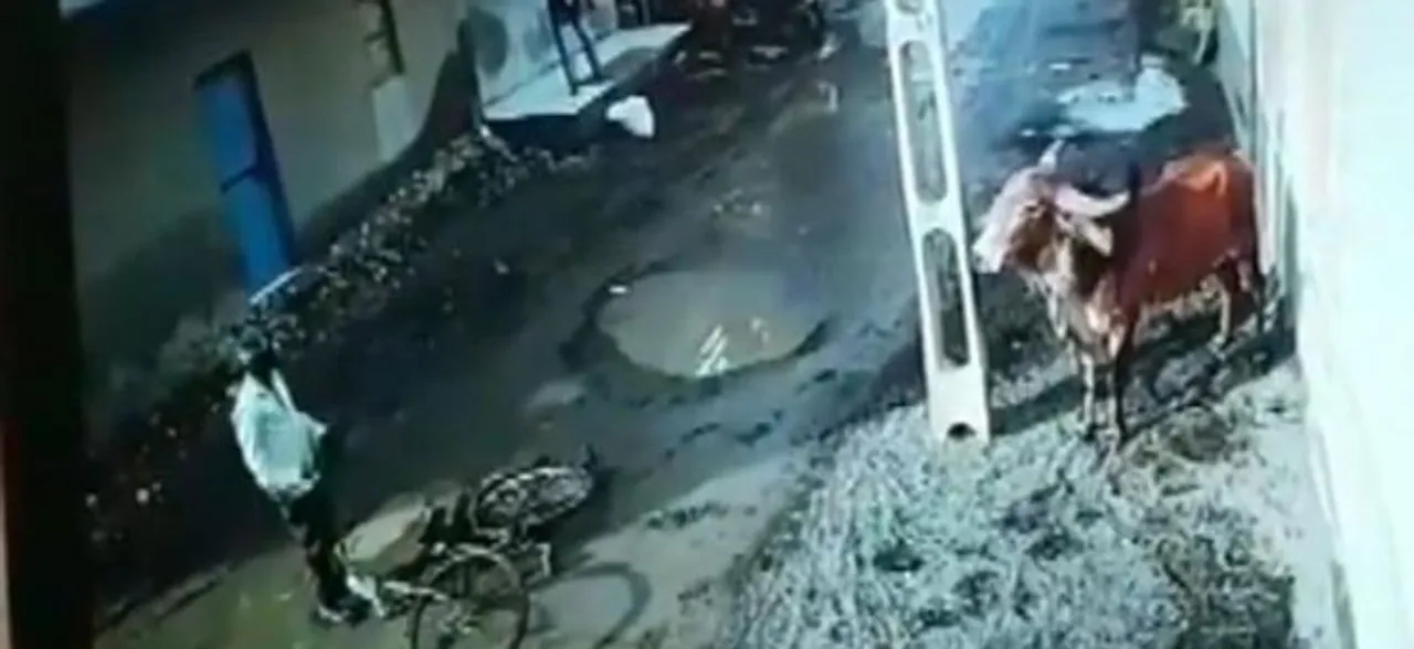 Watch Video: Ageing bull goes on rampage, attacks 2 me in Gujaratâ€™s Rajkot 
