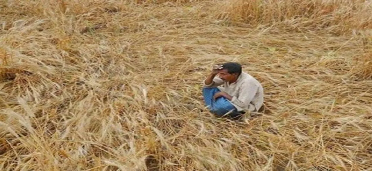 Rajasthan farmer allegedly commits suicide, blames Ashok Gehlot, Sachin Pilot 