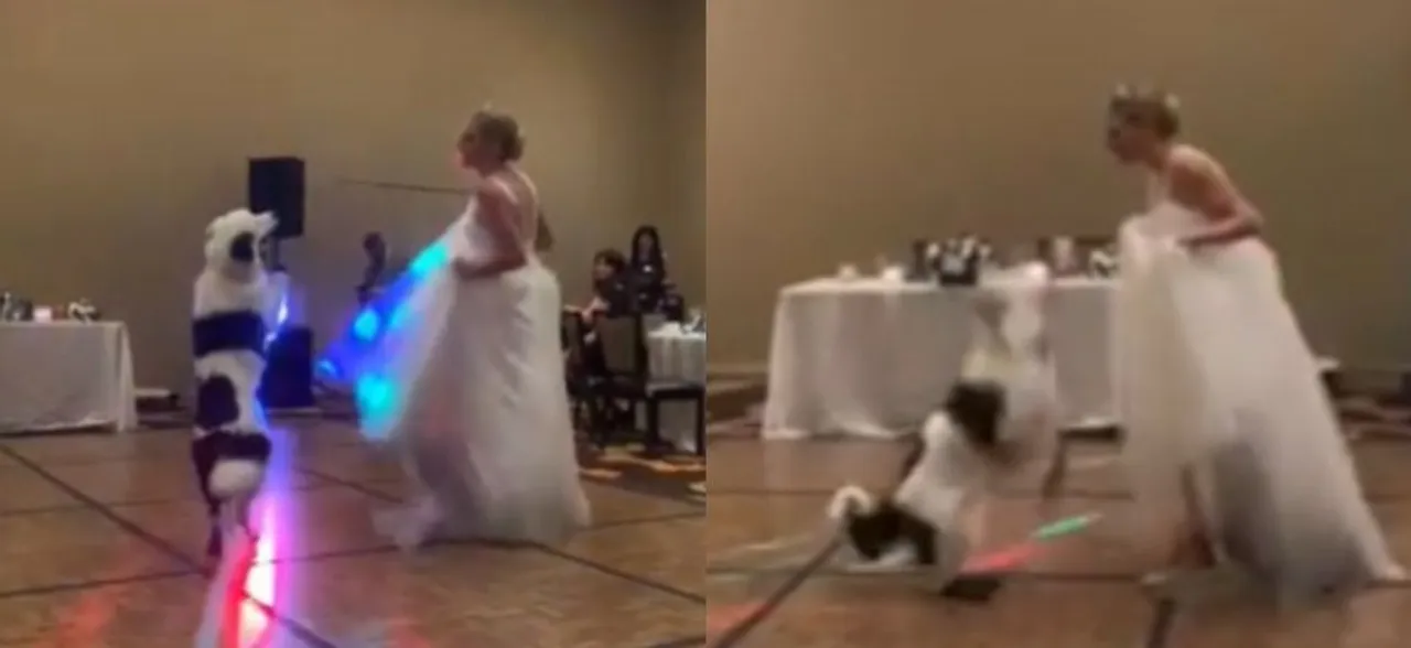 This American bride dances with pet dog on her wedding day, internet is all hearts