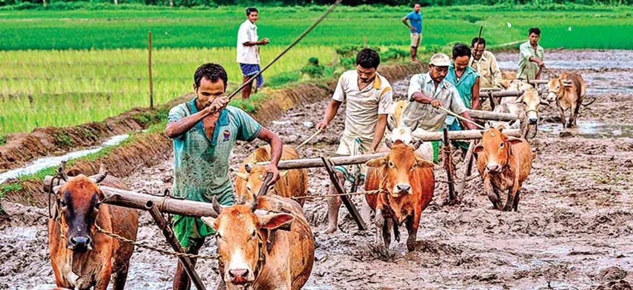 What Union Budget 2019 may hold for countryâ€™s farmers? Know here