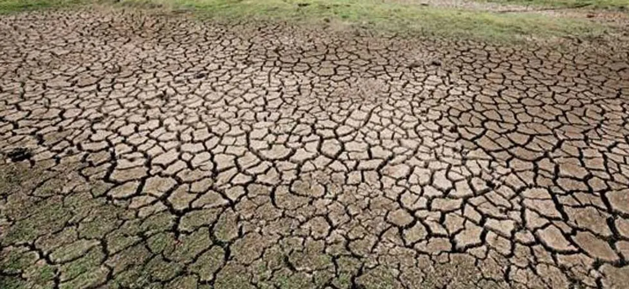 Economic Survey calls for new policies to improve water efficiency in farm sector