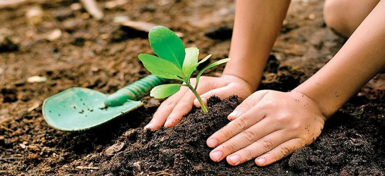 Plant 100 saplings, avoid externment, Bhopal DM to offenders