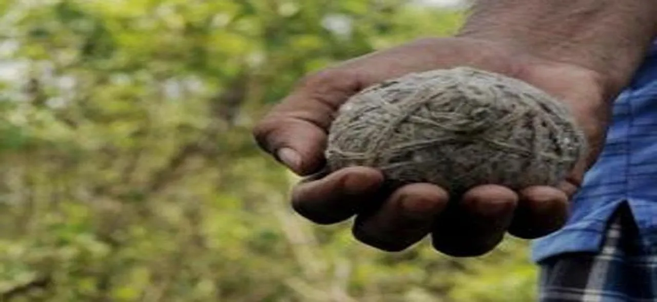 More than 100 bombs recovered from West Bengal's Birbhum district
