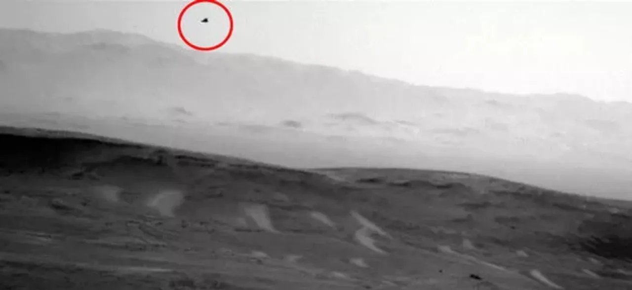 Did NASA photograph a flying bird on Mars? Details inside 