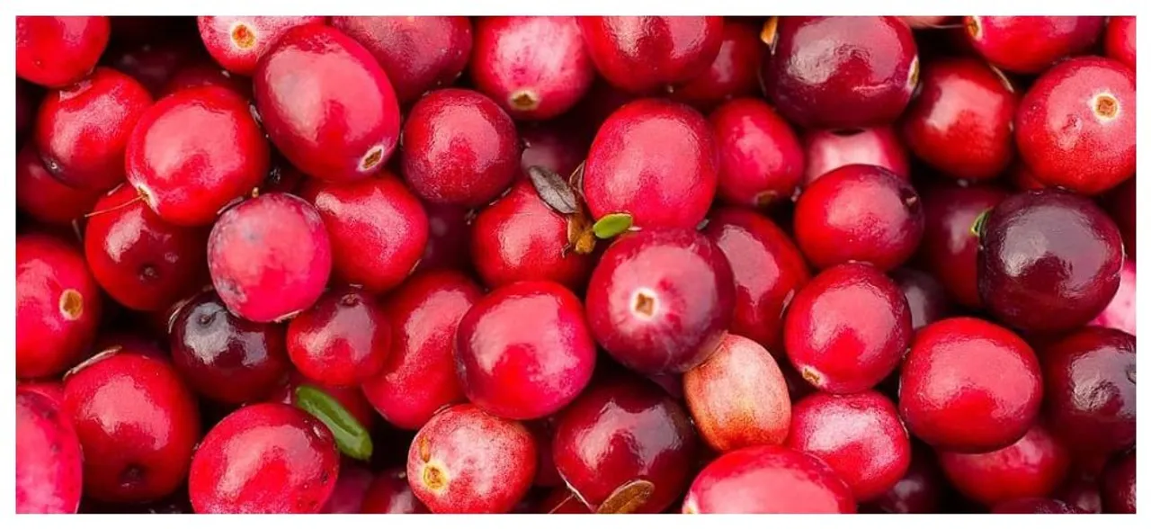 Cranberries may help combat superbugs: Study