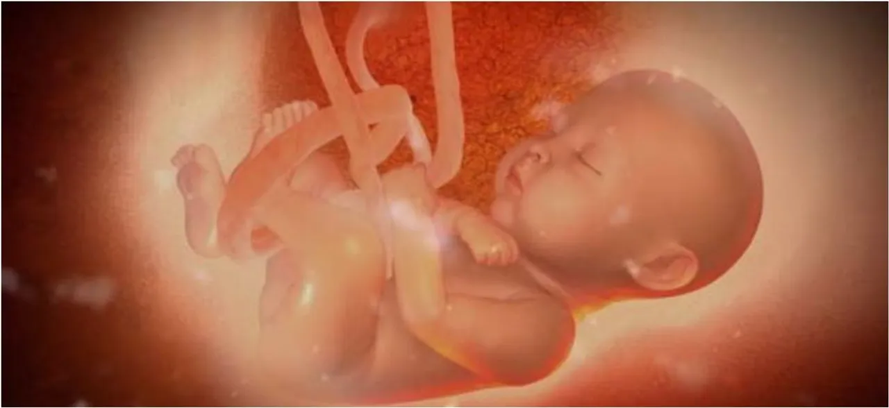 Couple sues New York clinic for â€˜mistakenlyâ€™ implanting its embryo in wrong woman