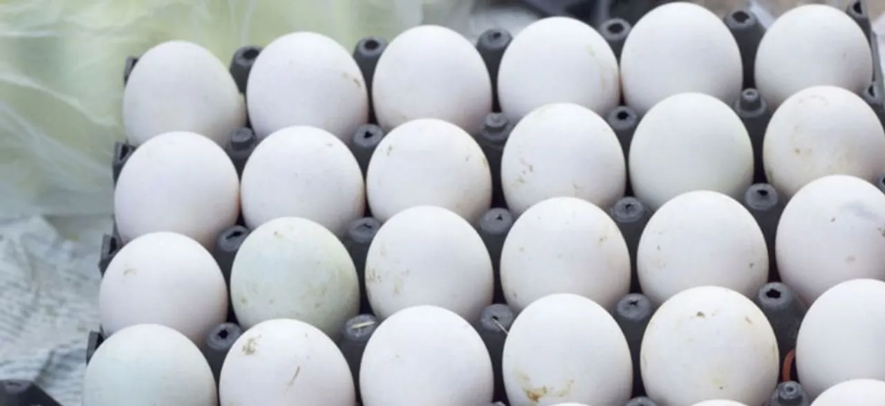 If vegetarians oppose, other kids to get eggs at home: Chhattisgarh govt tweaks midday meal rule 