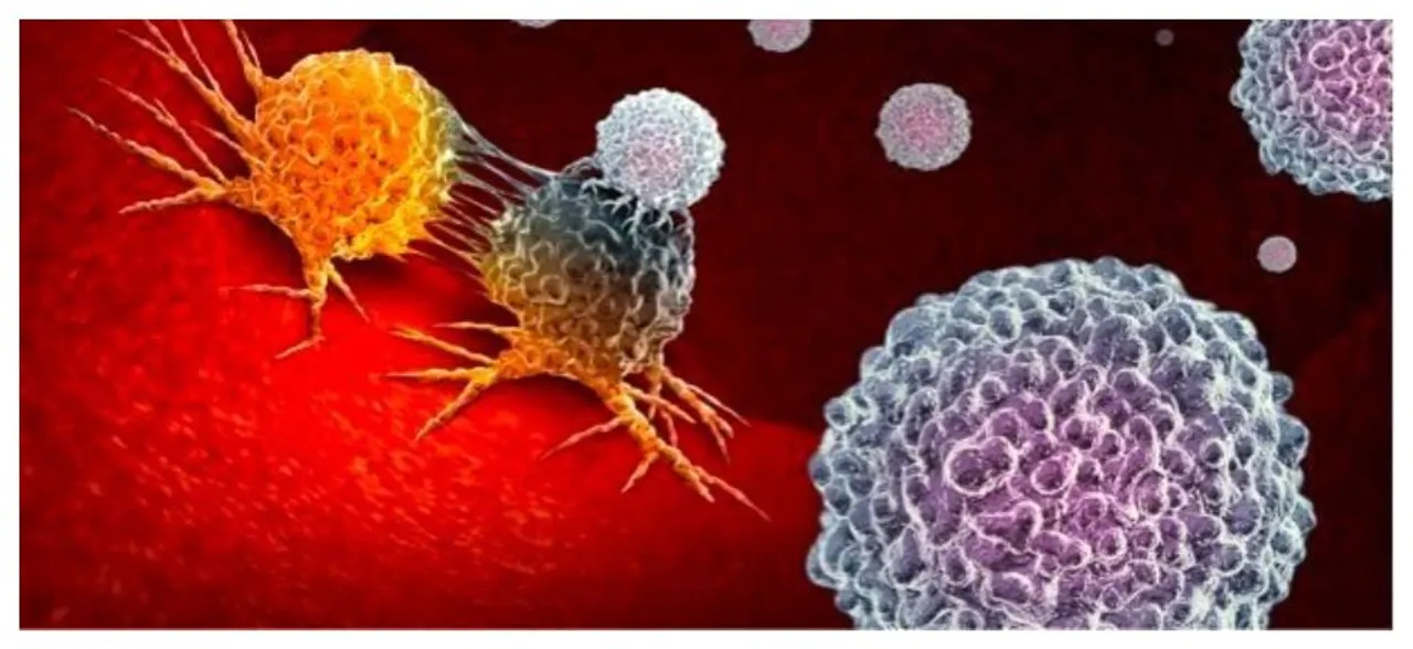 Scientists develop new â€˜Trojan Horseâ€™ drug that tricks and kill cancer cells