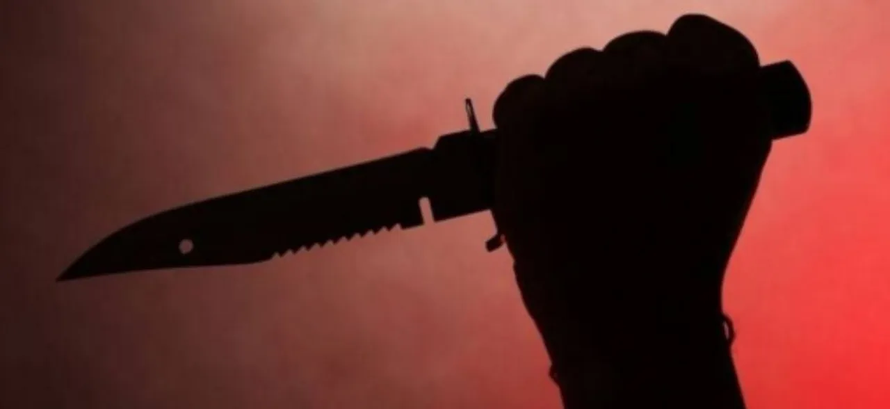 Indian-origin man stabbed to death by daughter in South Africa