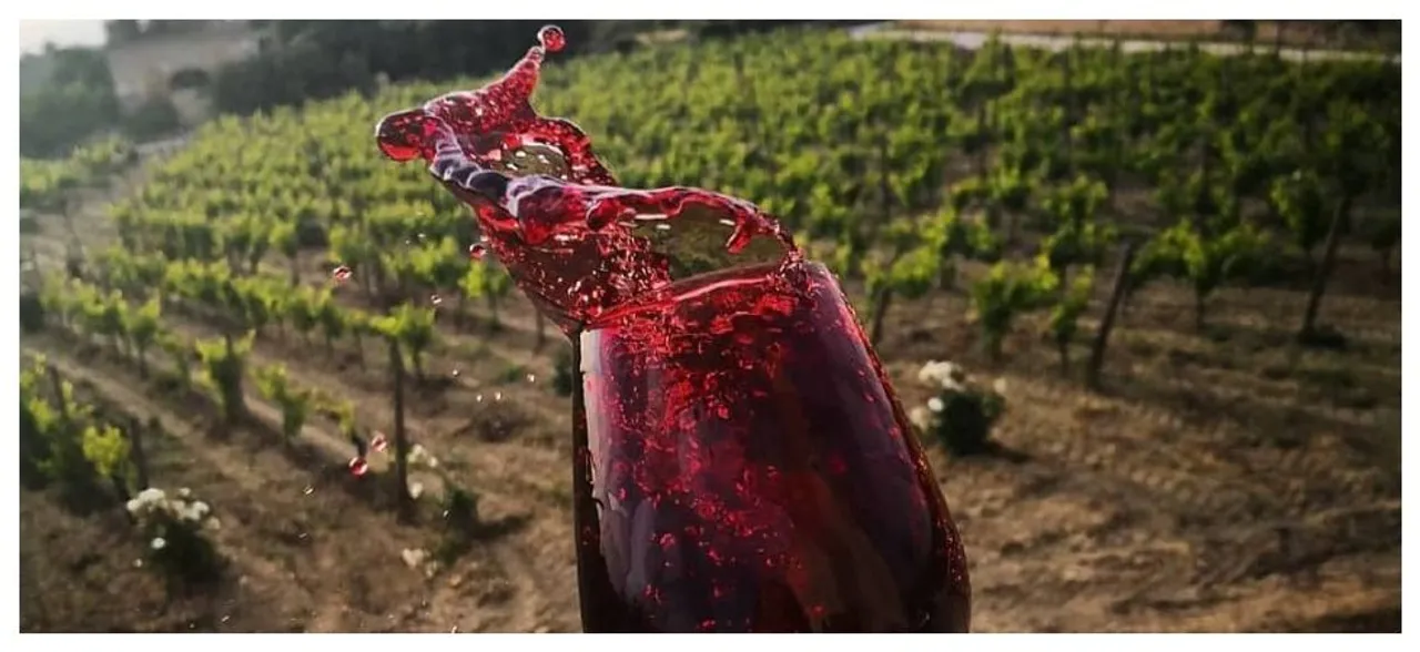 Having a glass of red wine relieves stress and anxiety, say scientists 