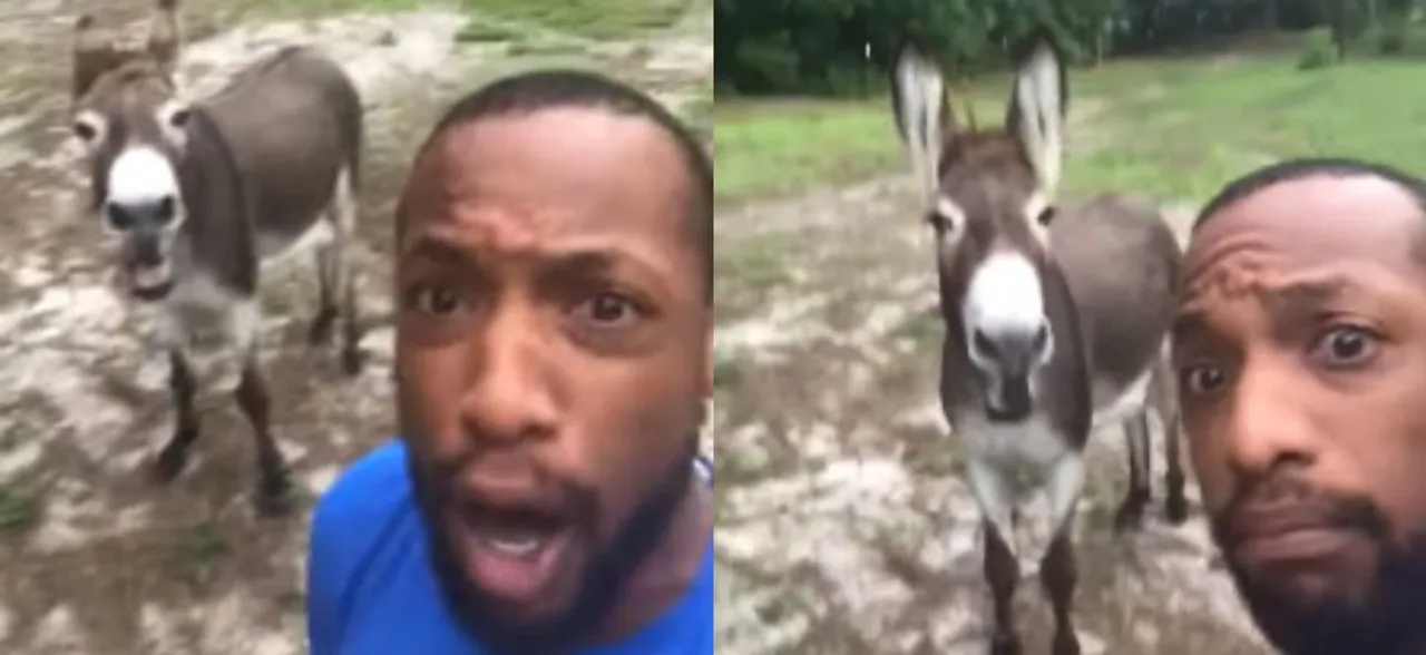 This video of a man and his donkey singing 'Circle Of Life' will leave you in splits!